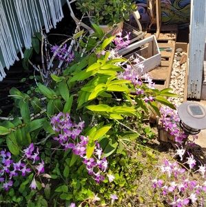 Meet your Posher, Carla